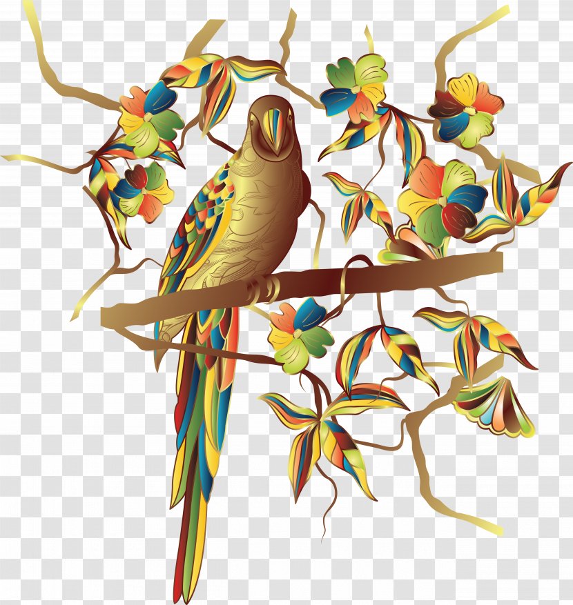 Bird Cockatoo Clip Art - Fauna - Parrot Transparent PNG