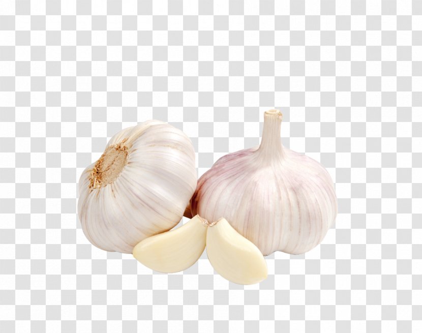 Organic Food Garlic Therapy Vegetable - Cabbage Transparent PNG
