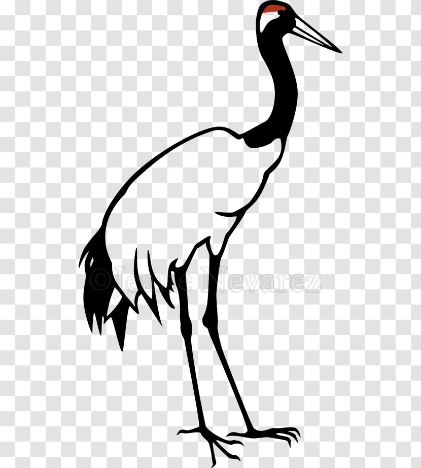 Red-crowned Crane Grey Crowned Bird Clip Art - Silhouette Transparent PNG