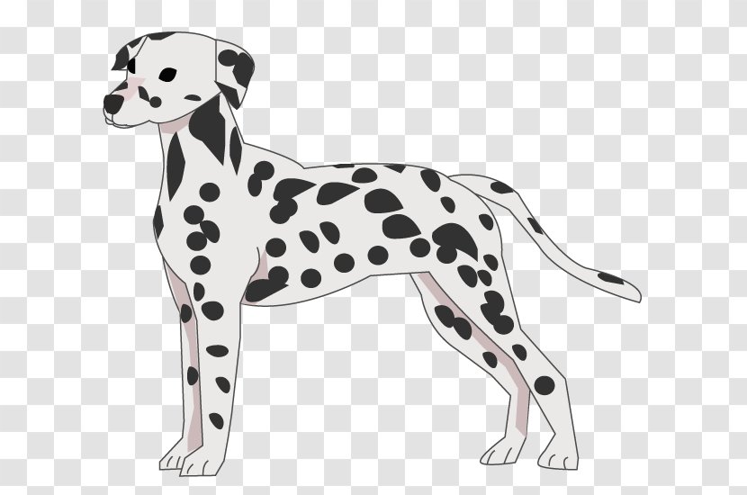 Dalmatian Dog Breed Companion Poodle Shiba Inu - Dobermann Transparent PNG