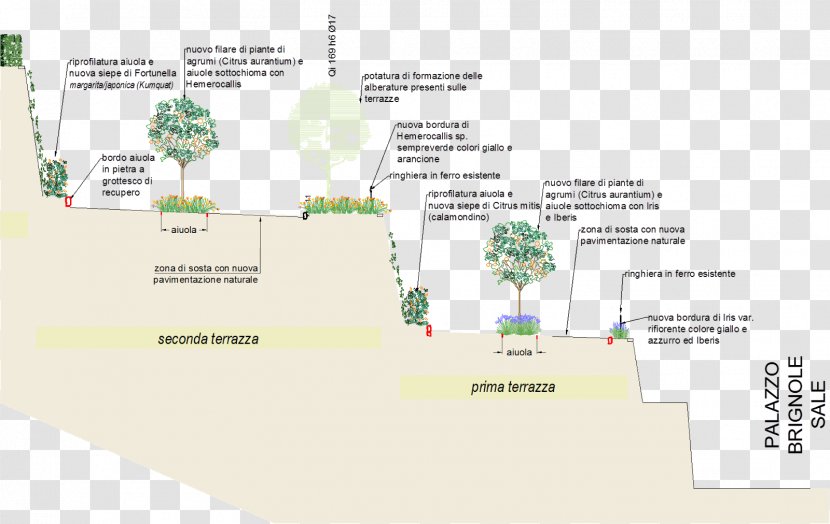 Tree Map Tuberculosis - Text - Galliera Transparent PNG