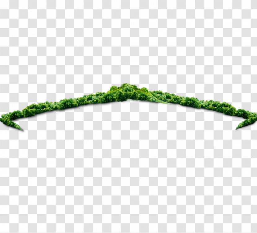 Tree Download Icon - Jungle Transparent PNG
