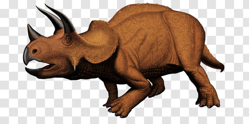 Triceratops Terrestrial Animal Extinction Snout - Fauna Transparent PNG