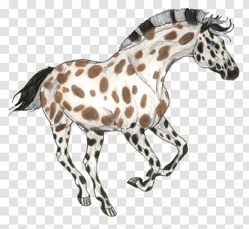 Foal Giraffe Mustang Arabian Horse Pony - Fauna Transparent PNG