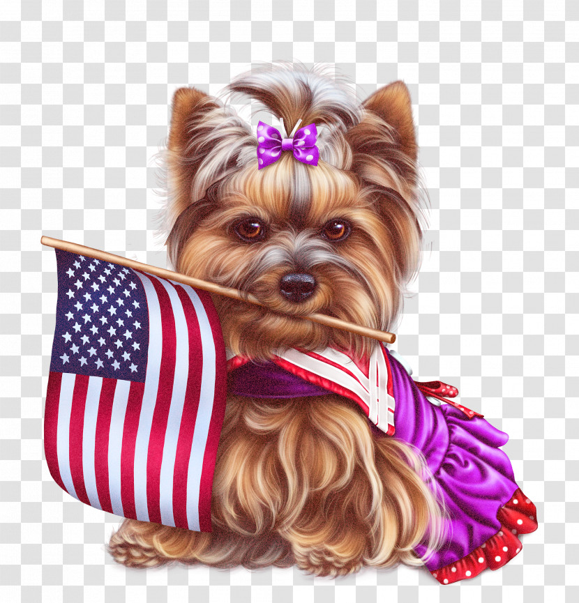Yorkshire Terrier Silky Terrier Puppy Snout Companion Dog Transparent PNG