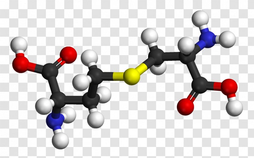 Cystathionine Beta Synthase Cysteine Cystine Amino Acid - Hair Transparent PNG