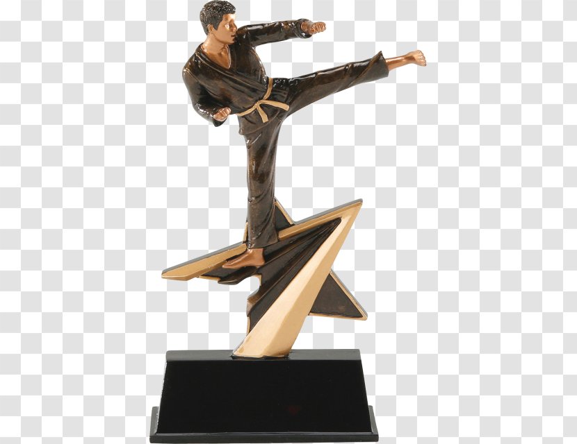 Trophy Karate Martial Arts Sports Award - Bronze Medal - Spelling Bee 2nd Place Transparent PNG