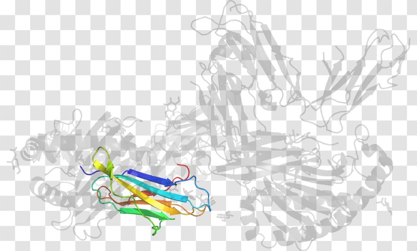 Vertebrate Clip Art Illustration Drawing Line - Silhouette - Gastric Inhibitory Polypeptide Transparent PNG