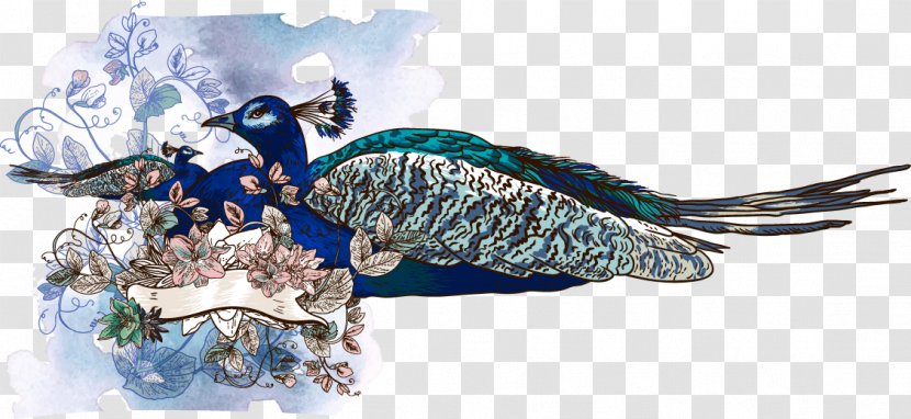 Asiatic Peafowl Illustration - Photography - Watercolor Blue Peacock Transparent PNG