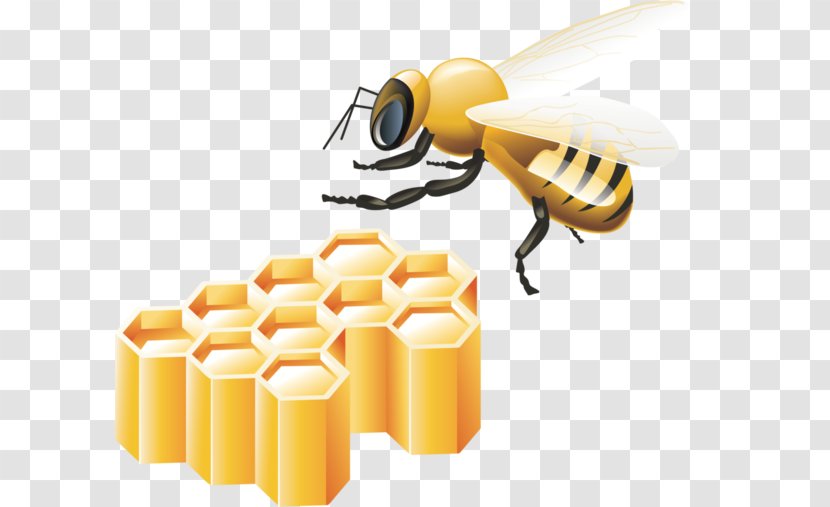 Bee Clip Art - Honeycomb - Cartoon Free Buckle Material Transparent PNG