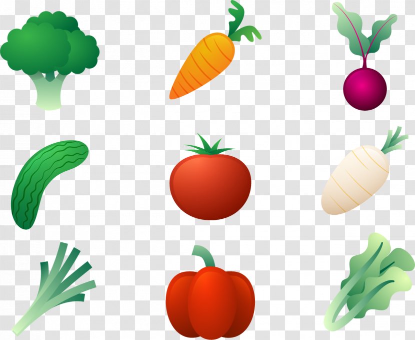 Food Celery Radish Vegetable Download - Organism - A Variety Of Vegetables Transparent PNG