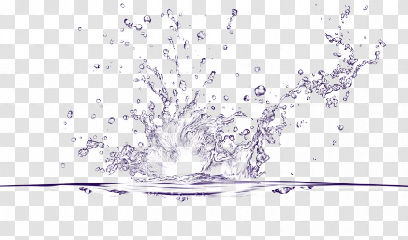 Psd Water Vector Graphics - Drawing - Beau Transparent PNG