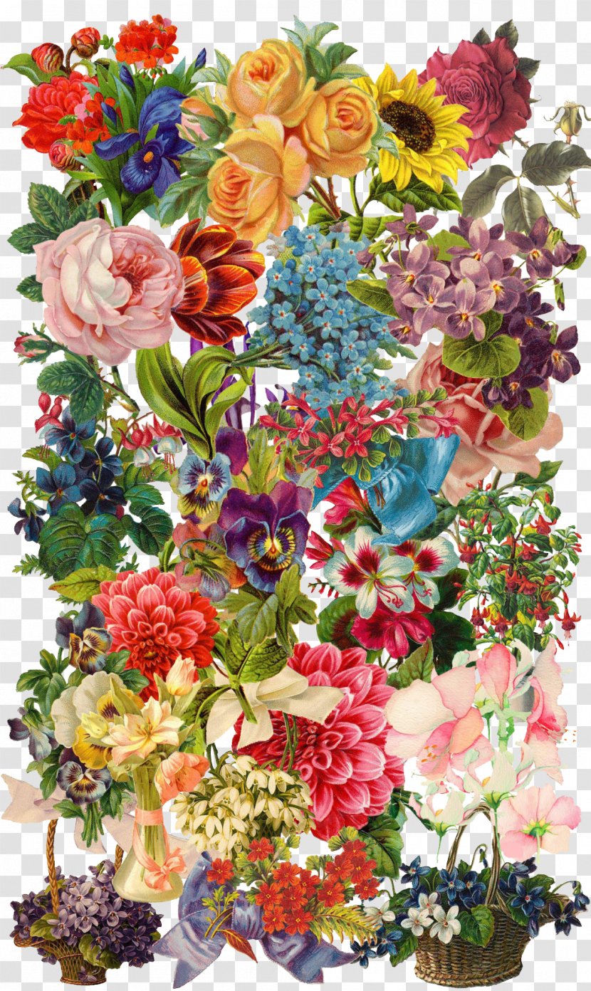 China Floral Design Flower Illustration - Collection Transparent PNG