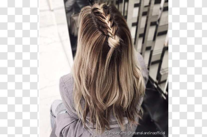 Unicorn Braid Hairstyle Being - Human Hair Color Transparent PNG