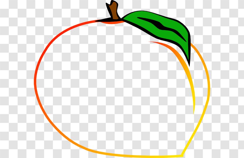 Circle Area Tree Clip Art - Beak - Peach Branch Transparent PNG