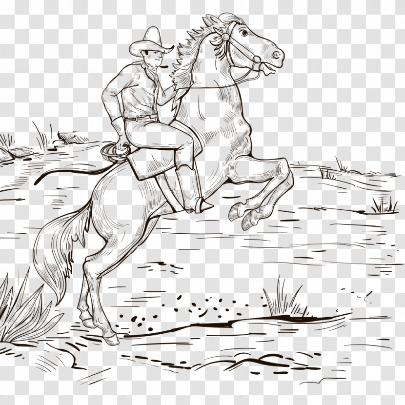 Horse Cowboy Drawing Mexican Cuisine Sketch - Black And White Transparent PNG