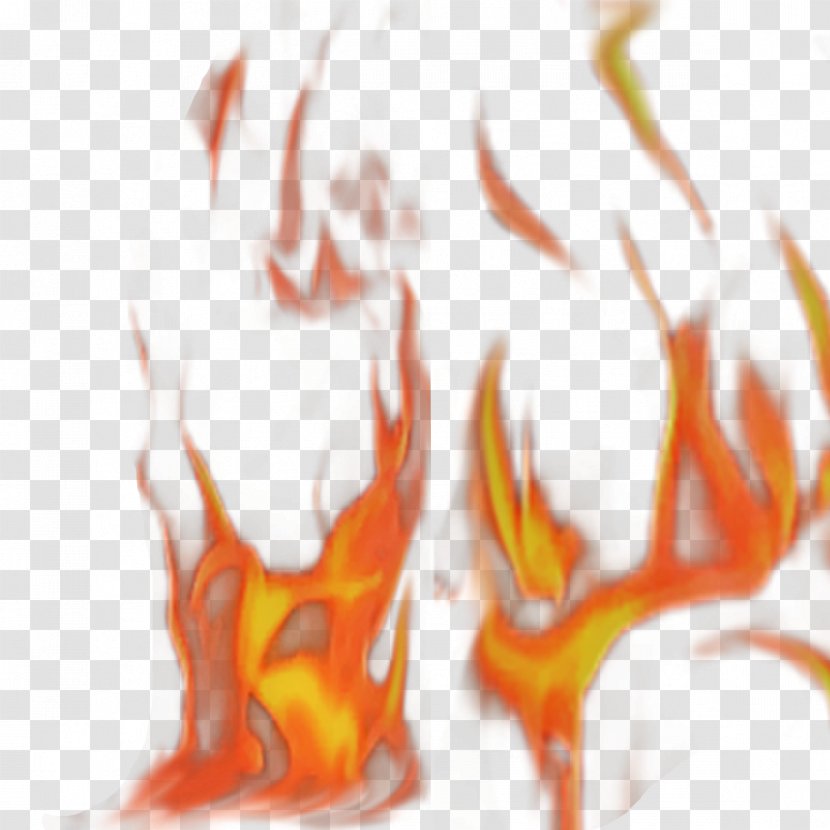 Flame Combustion Fire - Heart - Burning Transparent PNG