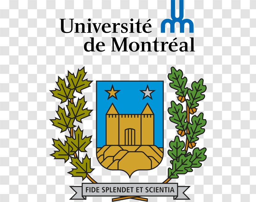 Université De Montréal Faculty Of Medicine École Bibliothéconomie Et Des Sciences L'information University - Area - School Transparent PNG