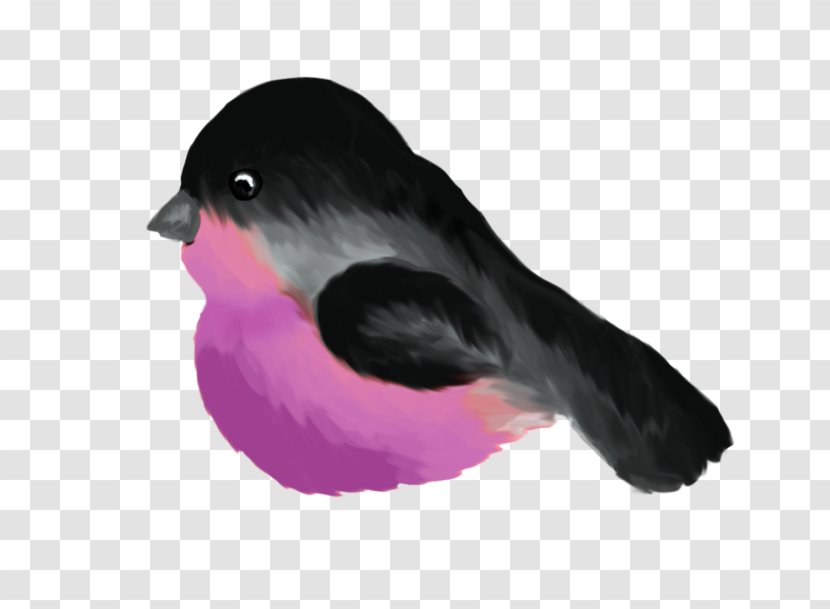 Bird Beak Animal Clip Art Transparent PNG