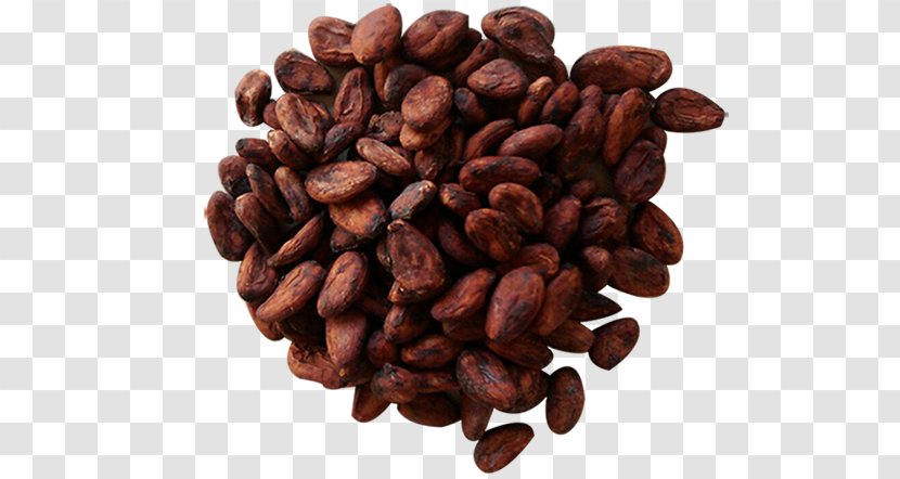 Jamaican Blue Mountain Coffee Cocoa Bean Caffeine Commodity Cacao Tree Transparent PNG