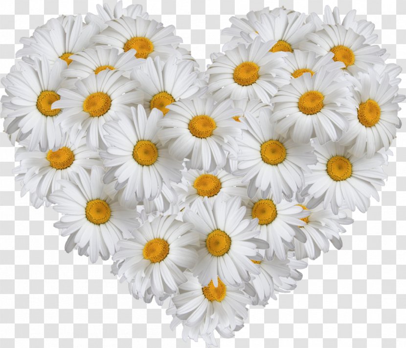 Flower Bouquet Clip Art Stock Photography - Day Of Russian Family And Love Transparent PNG