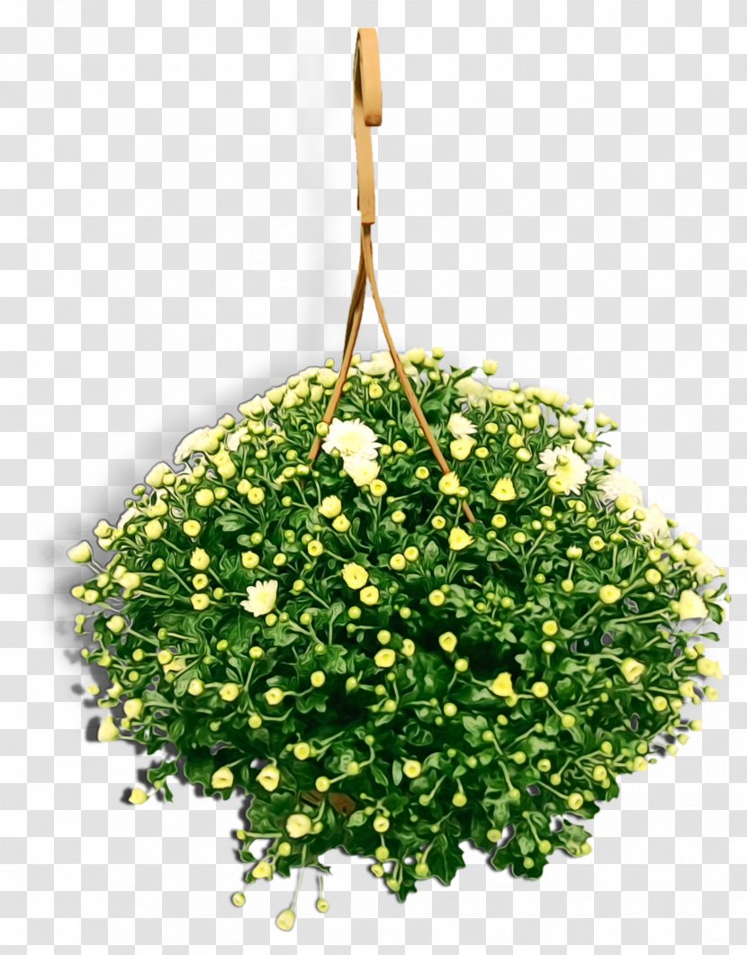 Flowers Background - Cut - Mock Orange Hypericum Transparent PNG