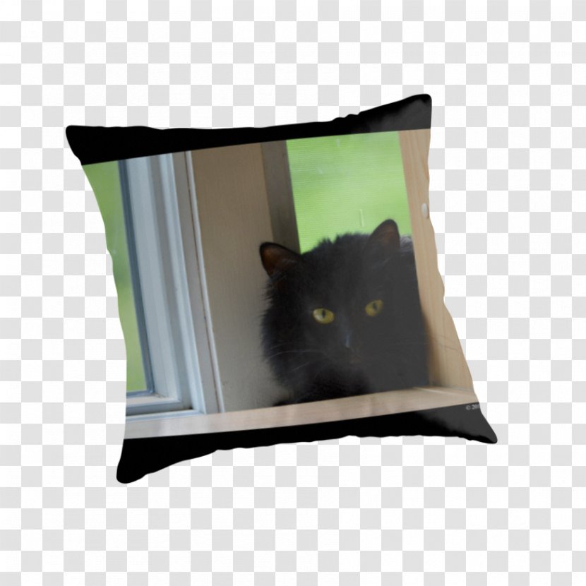 Whiskers Throw Pillows Cat Cushion - Turkish Angora Transparent PNG