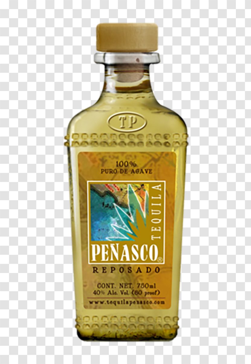 Liqueur Tequila Distilled Beverage Cocktail Peñasco - Fermentation Transparent PNG