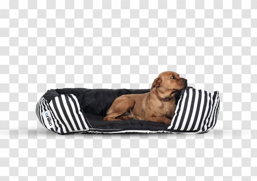 Dog Breed Bed Pillow Furniture - Air Mattresses Transparent PNG