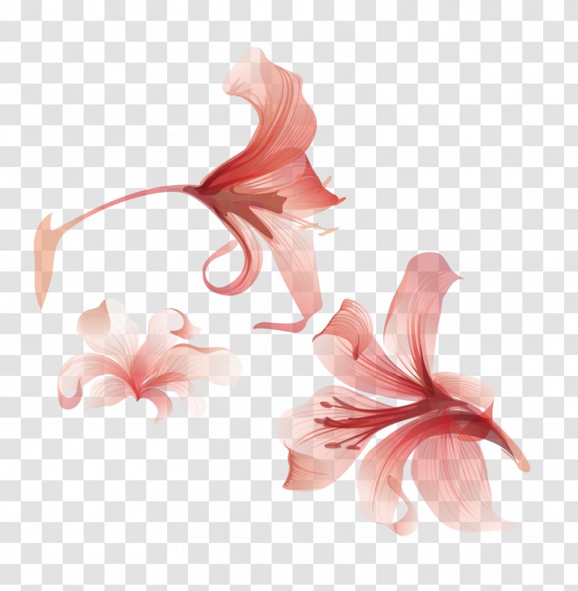 Flower Euclidean Vector Adobe Illustrator - Peach - Floral Flowers Transparent PNG