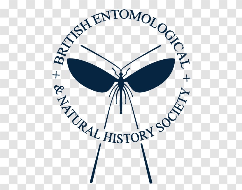 Logo Brand Design Entomology Product - English History Class Transparent PNG