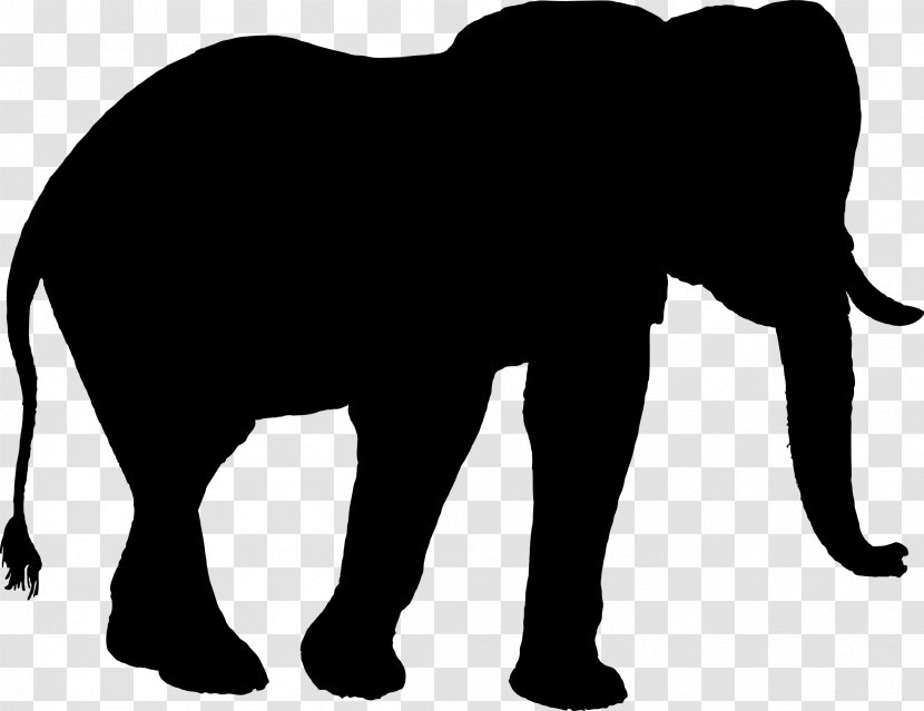 Indian Elephant African Silhouette Clip Art - Black Transparent PNG