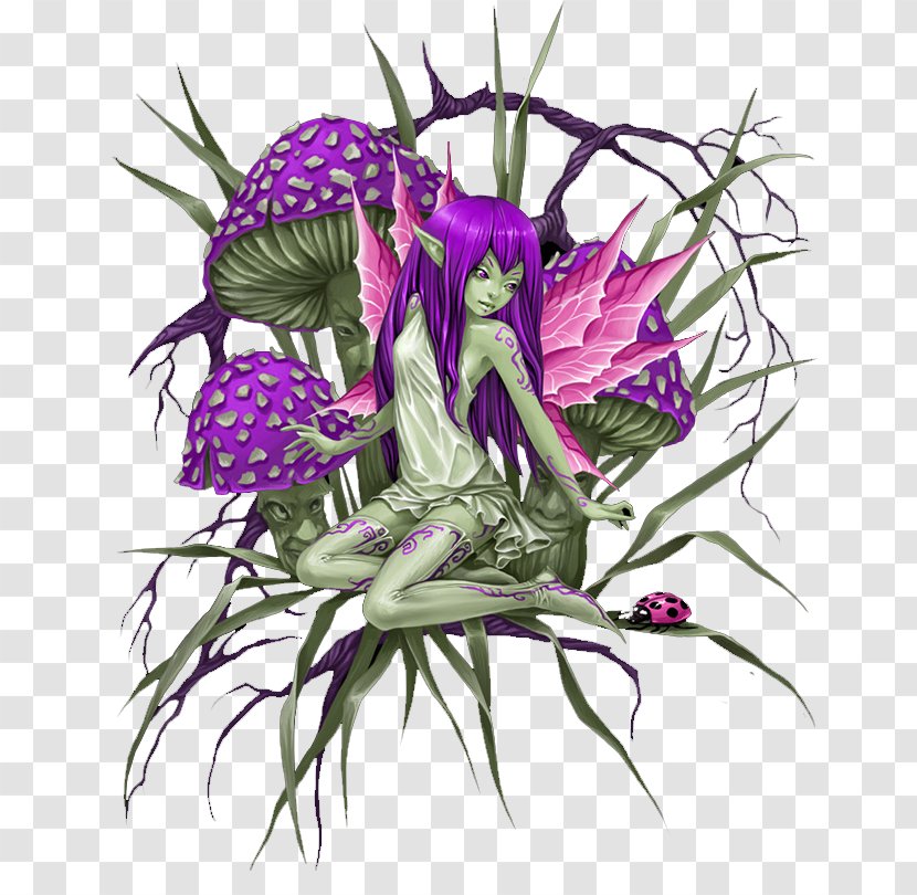 Floral Design Akhir Pekan Week Sunday Cut Flowers - Internet - Funghi Transparent PNG