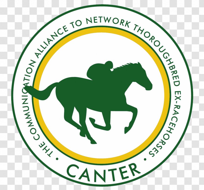 Thoroughbred Canter And Gallop Equestrian MIchigan Horse Racing - Nonprofit Organisation Transparent PNG