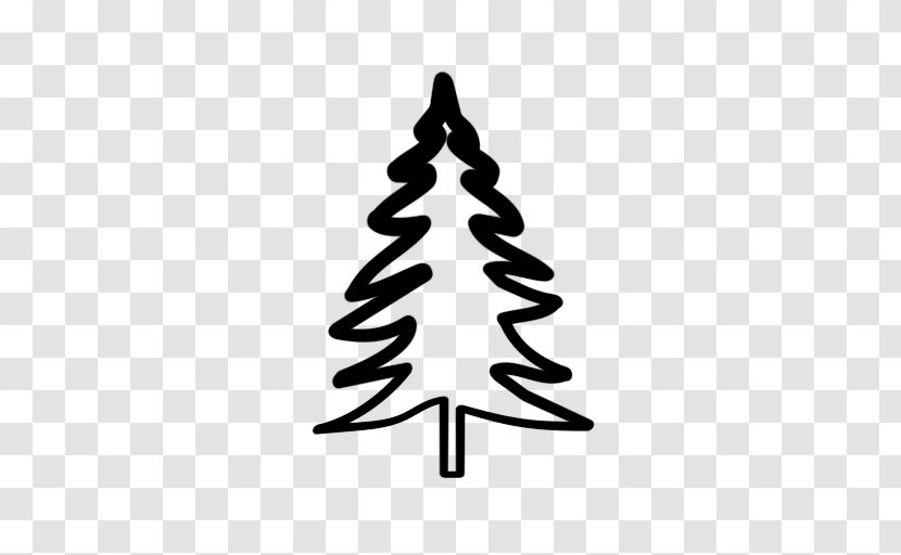 Evergreen Fir Drawing Tree Pine - Pseudotsuga Menziesii Var Glauca Transparent PNG