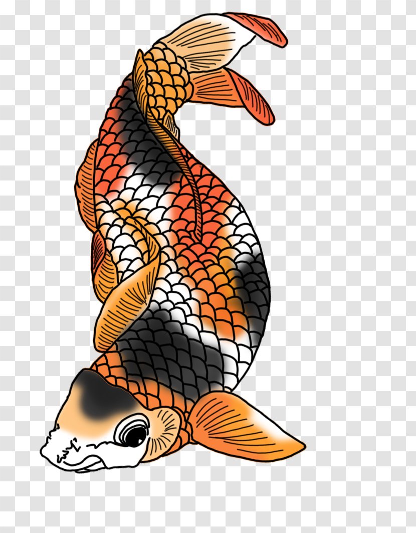 Koi Fish Clip Art - Drawing Transparent PNG