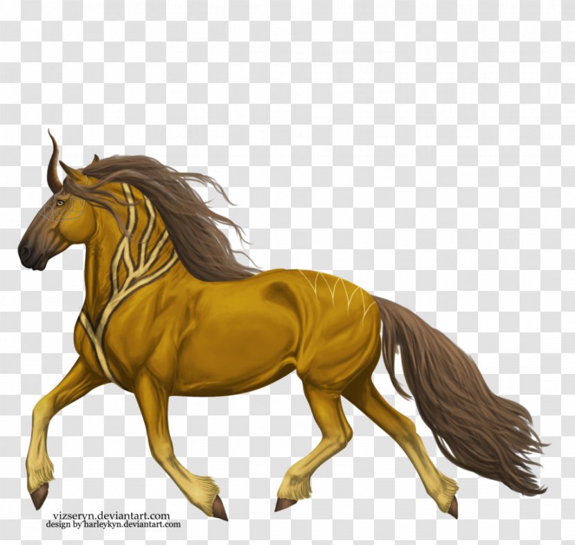 Mustang Foal Stallion Halter Pony - Yonni Meyer Transparent PNG