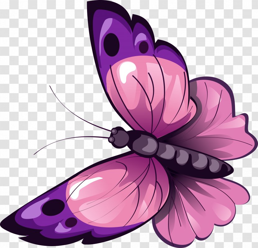 Butterfly Insect Animal Pollinator Clip Art Transparent PNG