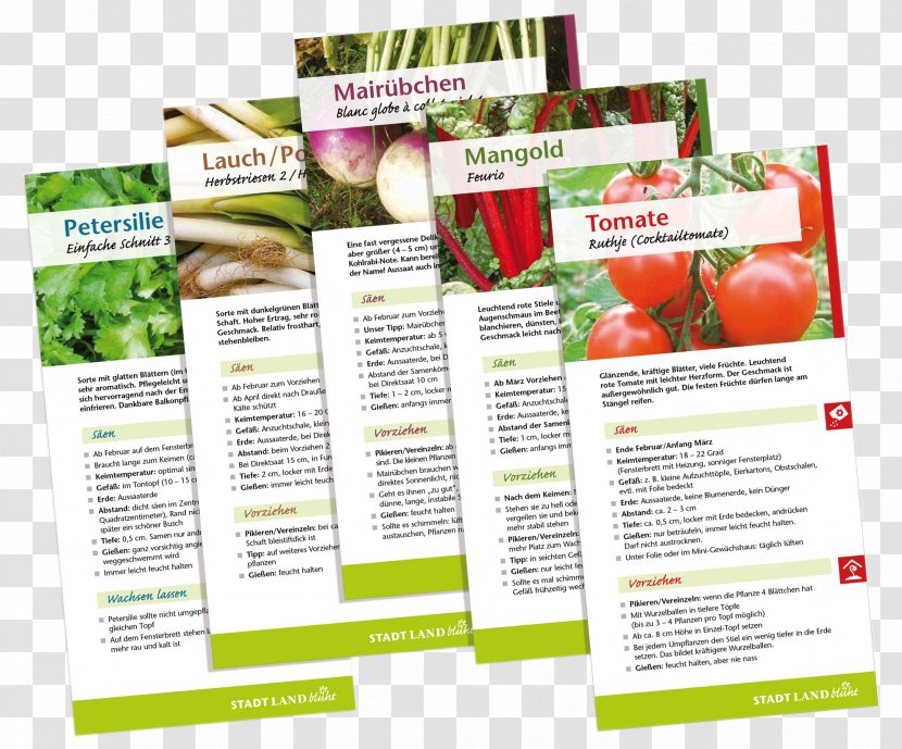 Organic Food Natural Foods Local - Flyer - SLB Transparent PNG