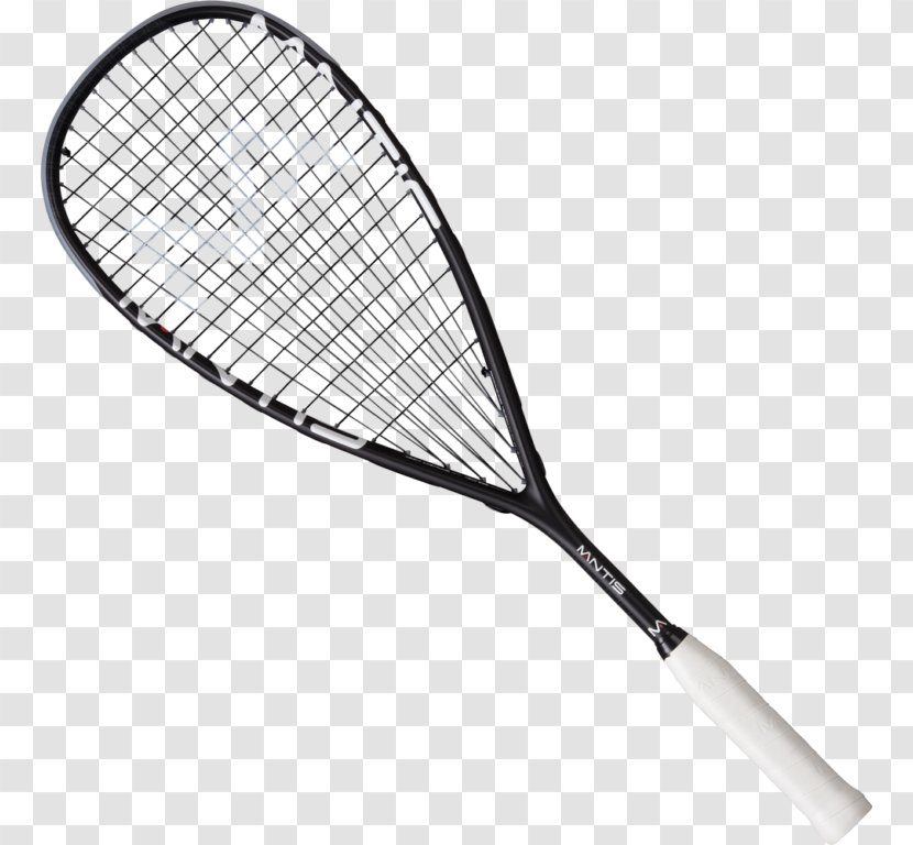 Racket Squash Strings Ball Sport Transparent PNG