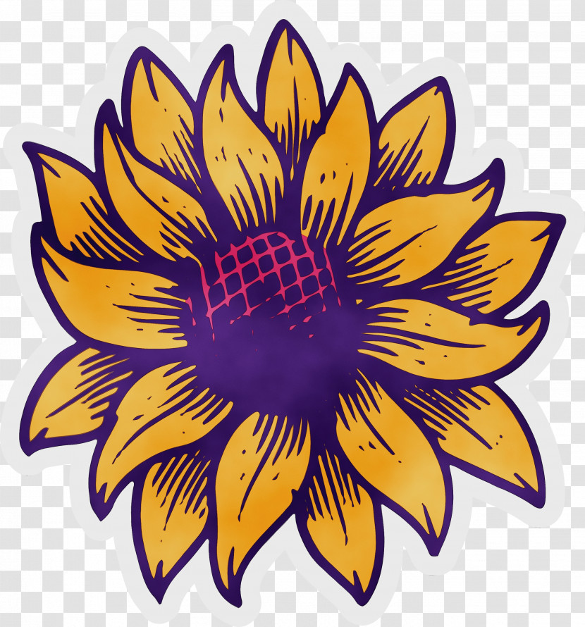 Common Sunflower Drawing Cartoon Painting Transparent PNG