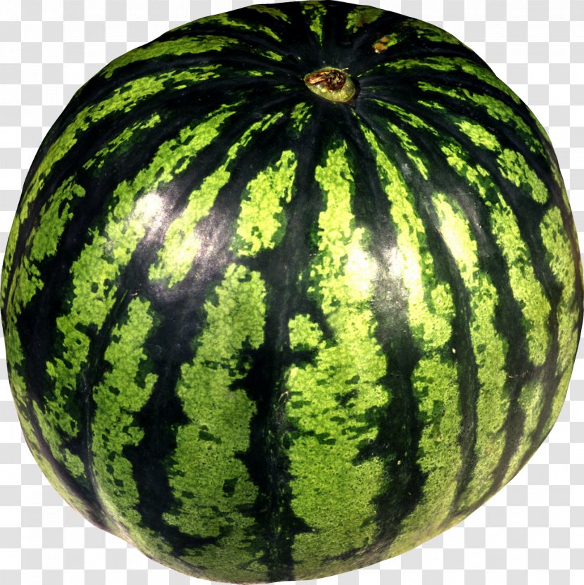 Citrullus Lanatus Var. Melon Fruit Clip Art - Gourd Order - Watermelon Transparent PNG