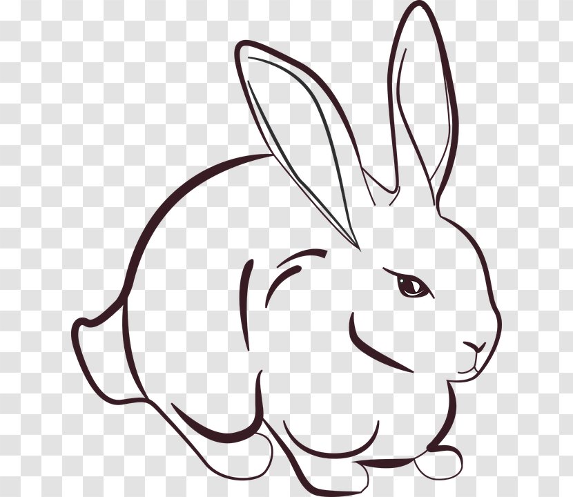 Jessica Rabbit Roger Hare Drawing - Vertebrate Transparent PNG