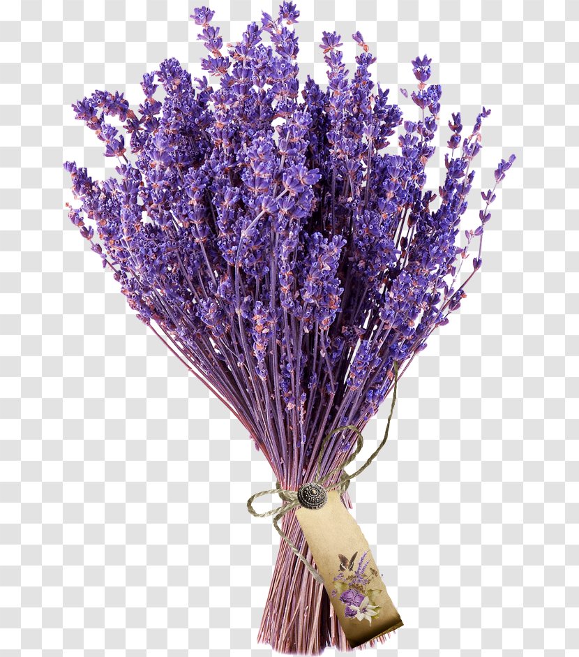 Flower Bouquet French Lavender Cut Flowers Museum - Artificial Transparent PNG