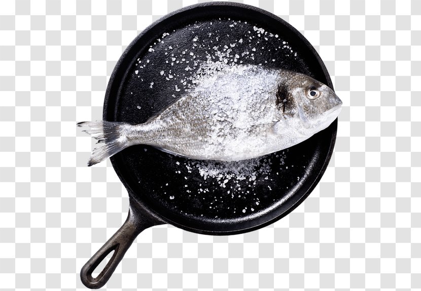 Fish Seafood Dishes Salt - Taste Transparent PNG