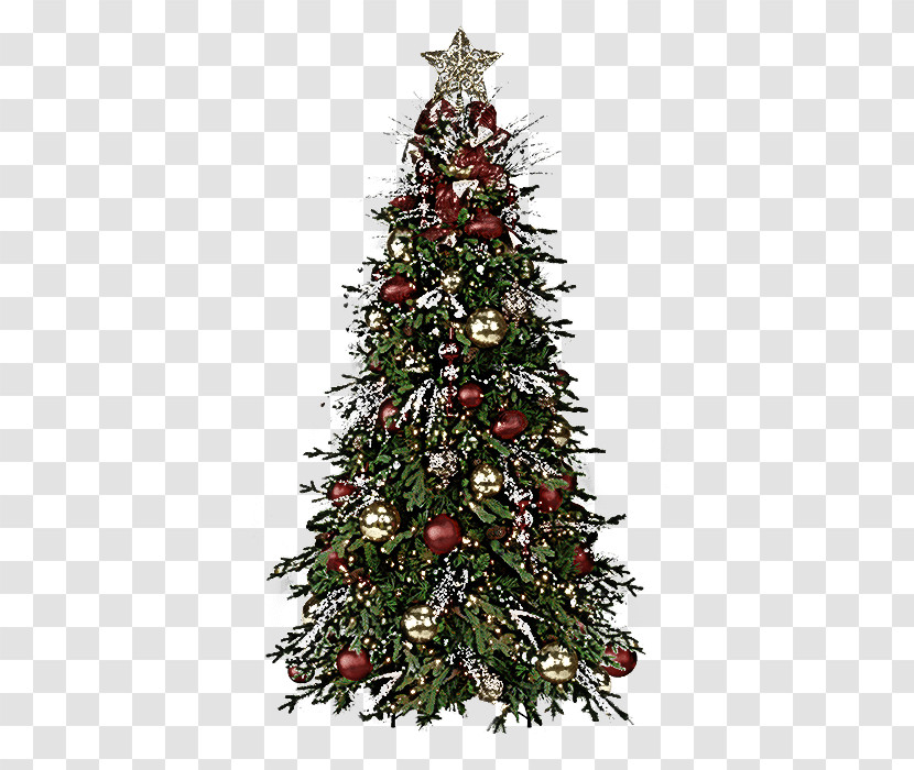 Christmas Tree Transparent PNG