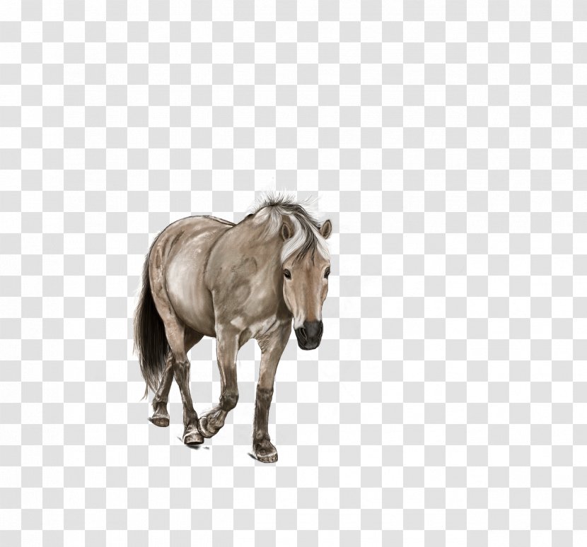 Horse Pony Digital Art Drawing Painting - Rein Transparent PNG