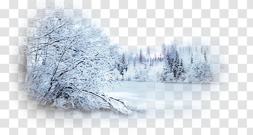 Winter Desktop Wallpaper Photography Snow Clip Art - Sky - Scene Transparent PNG