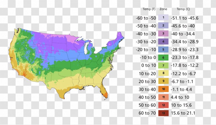Hardiness Zone United States Department Of Agriculture Gardening - Organism Transparent PNG