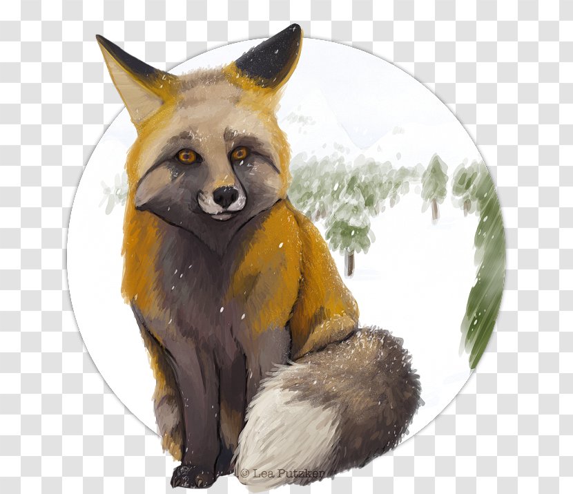 Red Fox Kit Fauna Fur Transparent PNG